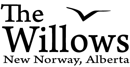 says Music Festival 2025 and has musical notes under the words in black